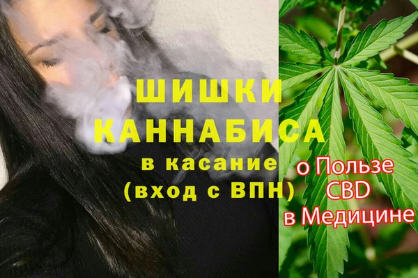 дживик Баксан