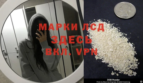 дживик Баксан