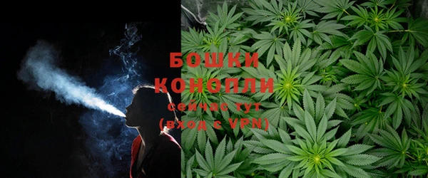 прущие грибы Арсеньев