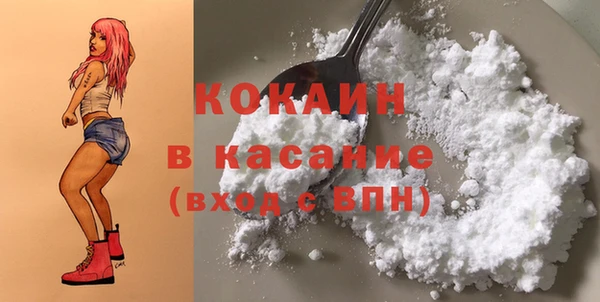 дживик Баксан
