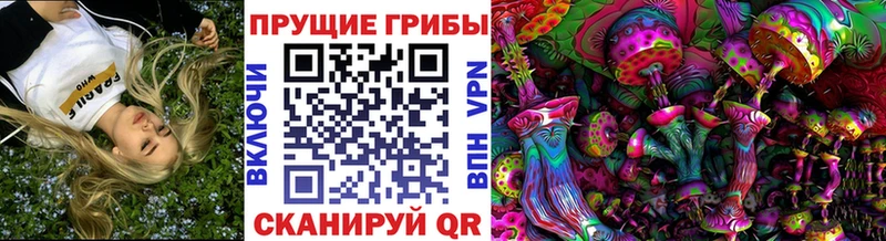 OMG как войти  Бобров  Галлюциногенные грибы GOLDEN TEACHER  закладки 